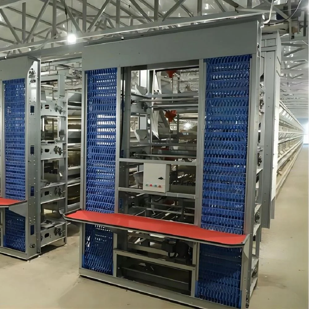 Полностью Автоматическая клетка для 10000 птиц
