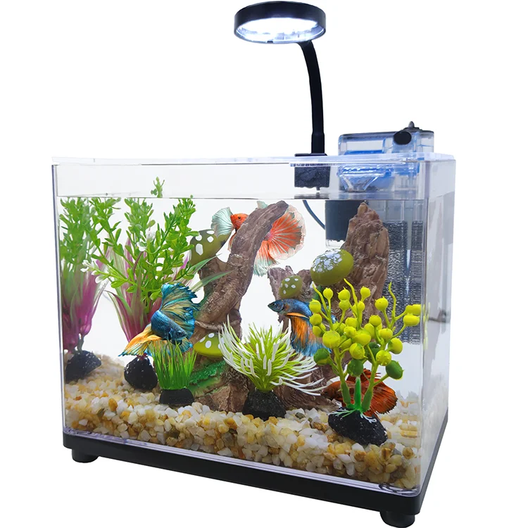 Customized Cydrique Acrylique Plastic Aquarium Fish tank for Home