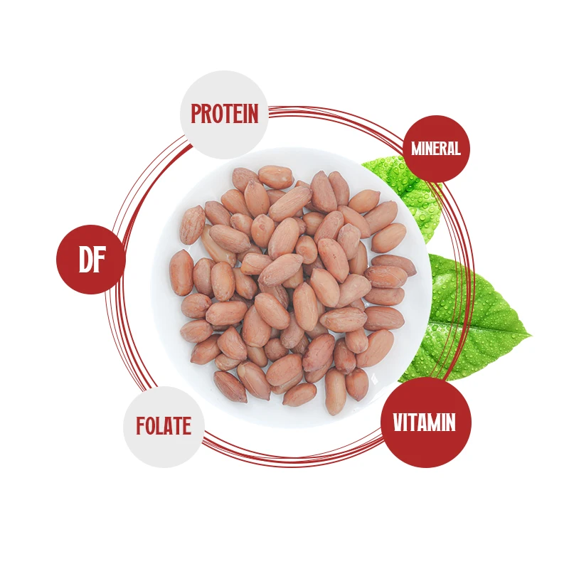 hot selling chinese snacks food wholesale roasted peanut snack