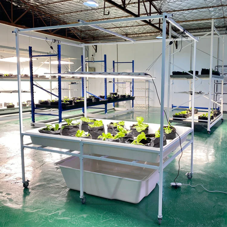 Aeroponics Hidroponia Greenhouse Seedbed Water Reservoir 130GAL Reservoir Hydroponic Water Tank