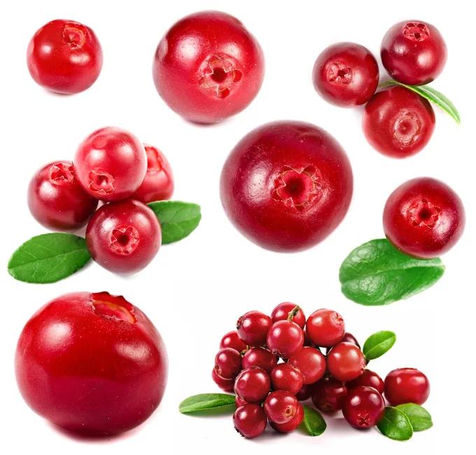 Natural Beauty Products Vitamin Dietary Supplements Cranberry Extract Softgel Capsule