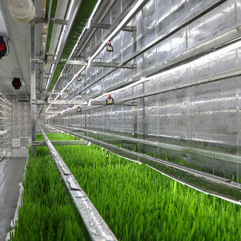 Shipping Container Farms Hydroponic Fodder Vertical Farming Container Greenhouse