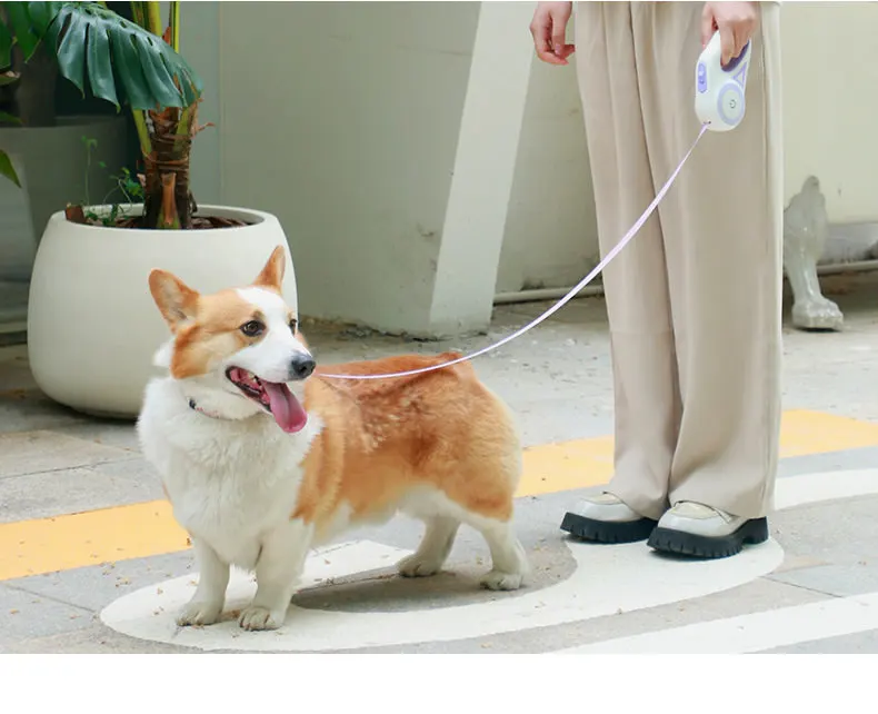 and Collars Plastic Ribbons Orange Purple Animal Green 3M/5M Nylon Dogs Easy and Simple To Handle Retractable Dog Leashes M23