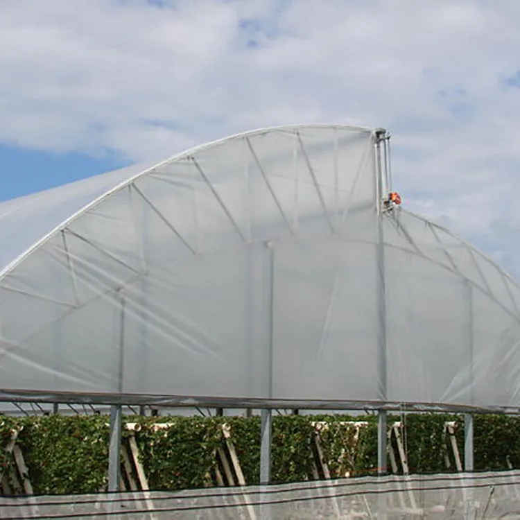 Skyplant многопролетная пленка теплица сельскохозяйственное оборудование гидропонная система Поли Туннель зеленый дом