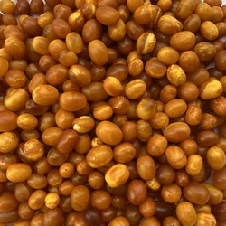 Natural amber Baltic Russia high quality old amber Oval Bracelet Amber Stone Beads 12-18mm