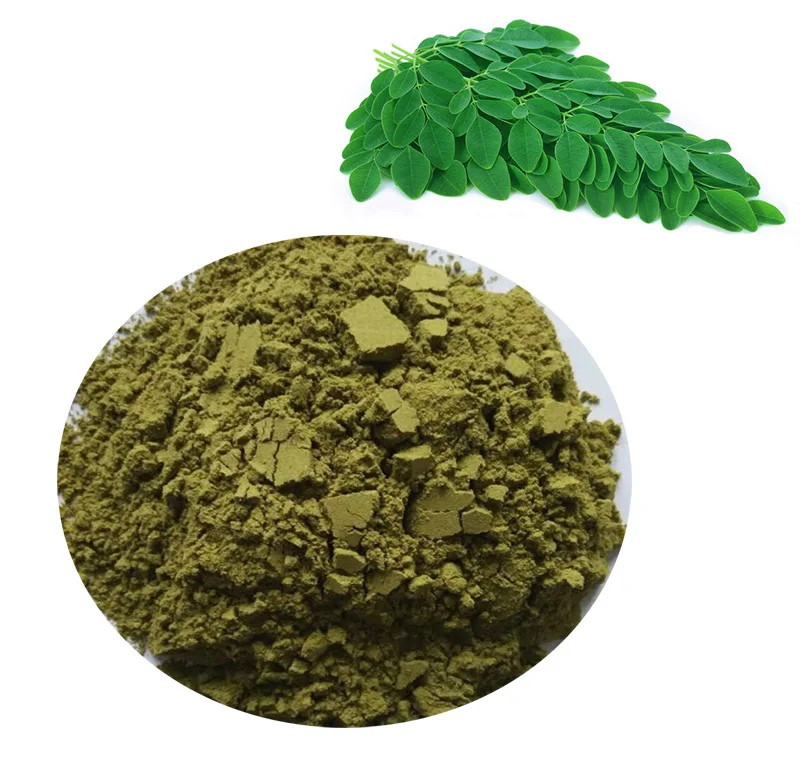 Hot selling top quality moringa oleifera leaf powder / 100% Natural organic Spicy wood leaf powder