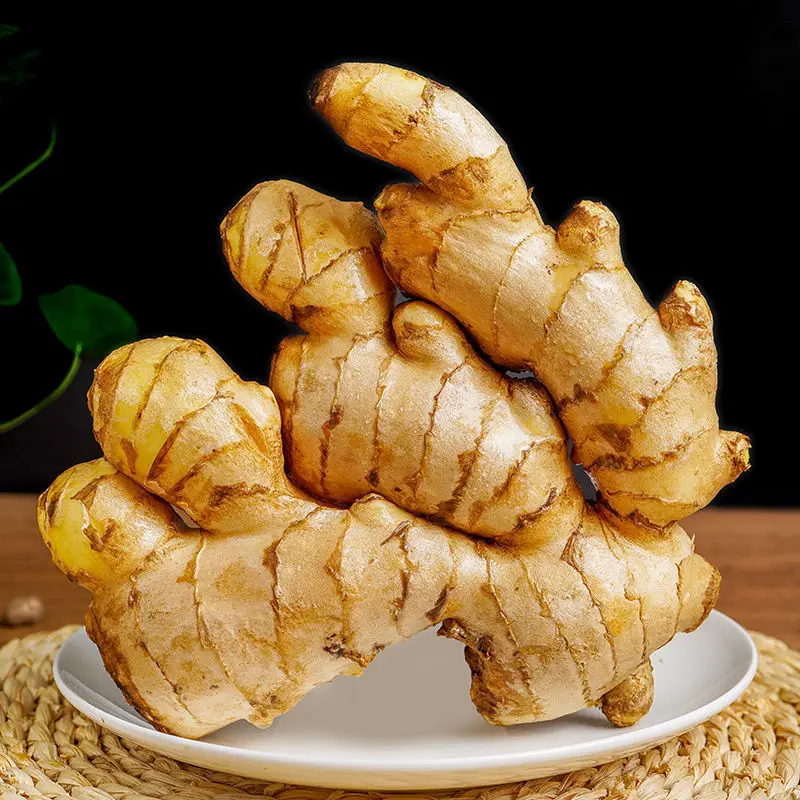 New Crop Fresh Ginger for Sale - Ginger Root Superior Quality Spicy and Fragrant Flavor
