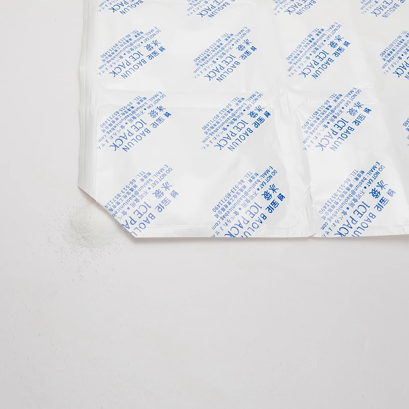 BSG 390*290mm 9pcs in one  Frozen Food Fresh Keep Dry Ice Pack One Piece 24 Cells Ice Cube Bags