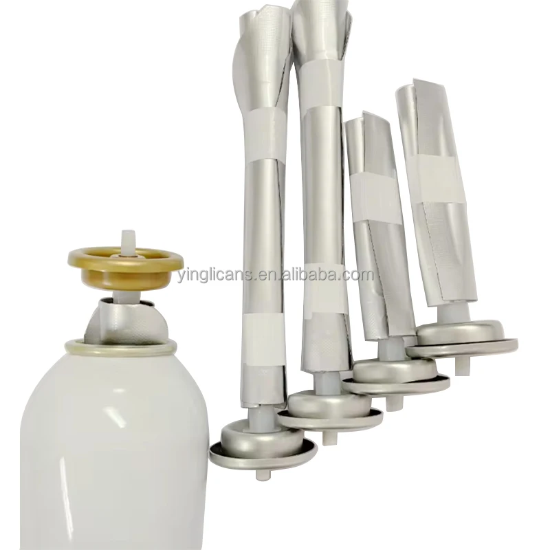 BOV Aerosol Valve One Inch Metering Valve Female Male Aerosol Valve with Spray Actuator