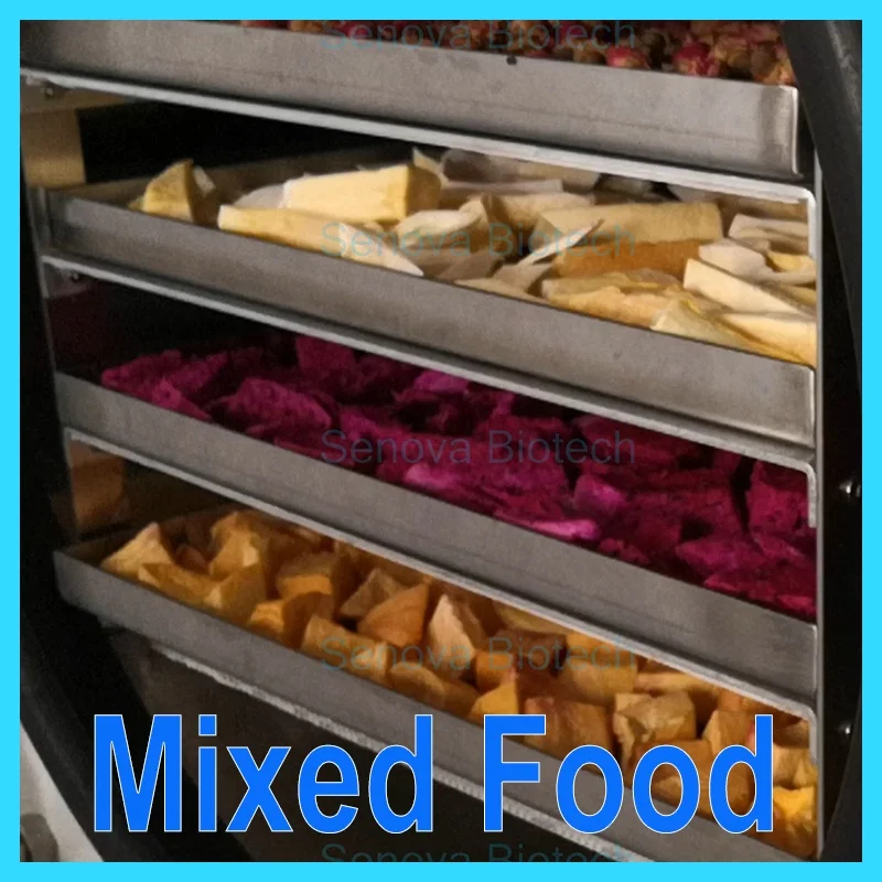 FD Food Okra Broccoli Spinach Potato Green Pea Mushroom Coffee Juice Liquid Powder Vacuum Freeze Dryer