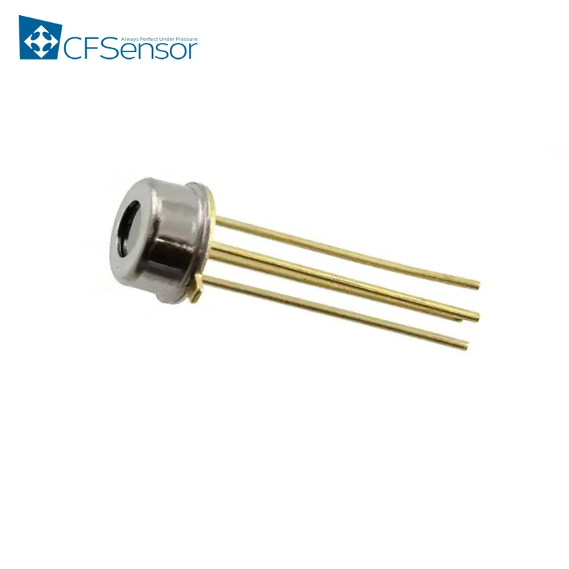 Electronics Temperature sensor