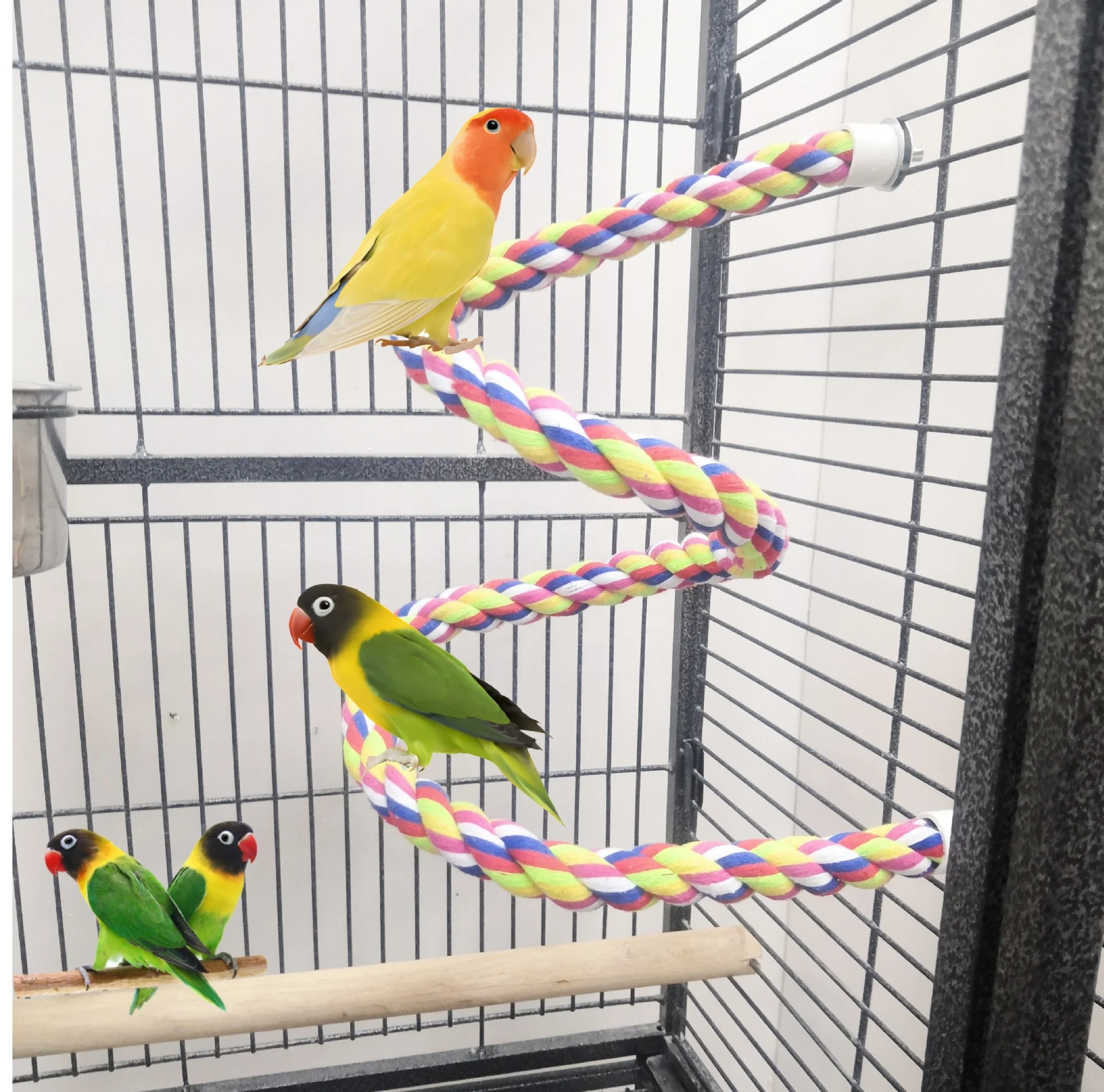 Parrot Rope Perch Cotton Rope Bird Perch  Climbing Stand Bar Bird Bungee Toy Parrot Chew Toys Bird Perch Rope Bungee