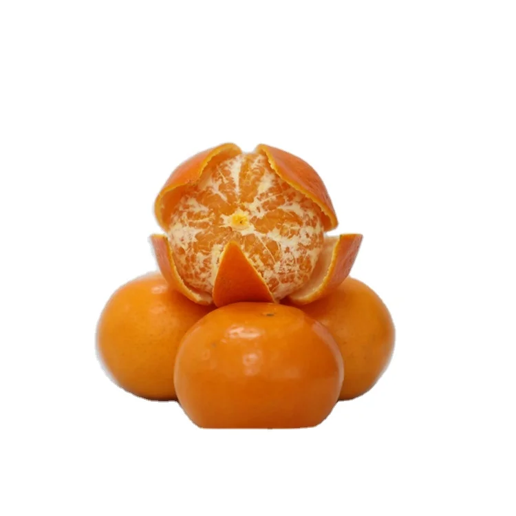 
Factory direct supply of citrus bulk fresh natural sweet fruit citrus price 