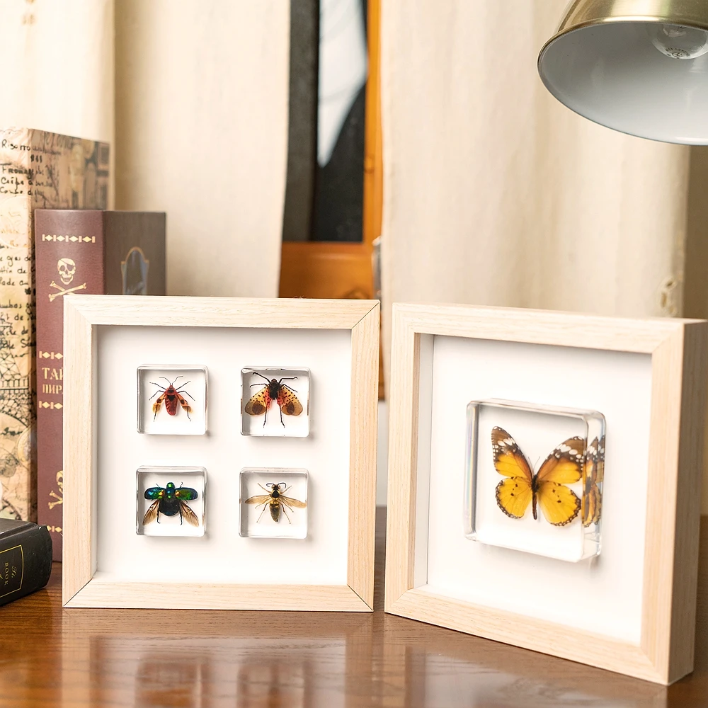 Декоративная фоторамка, красивый образец на заказ, настоящая бабочка, искусство, настенное свадебное украшение в деревянной рамке, настоящая сухая бабочка