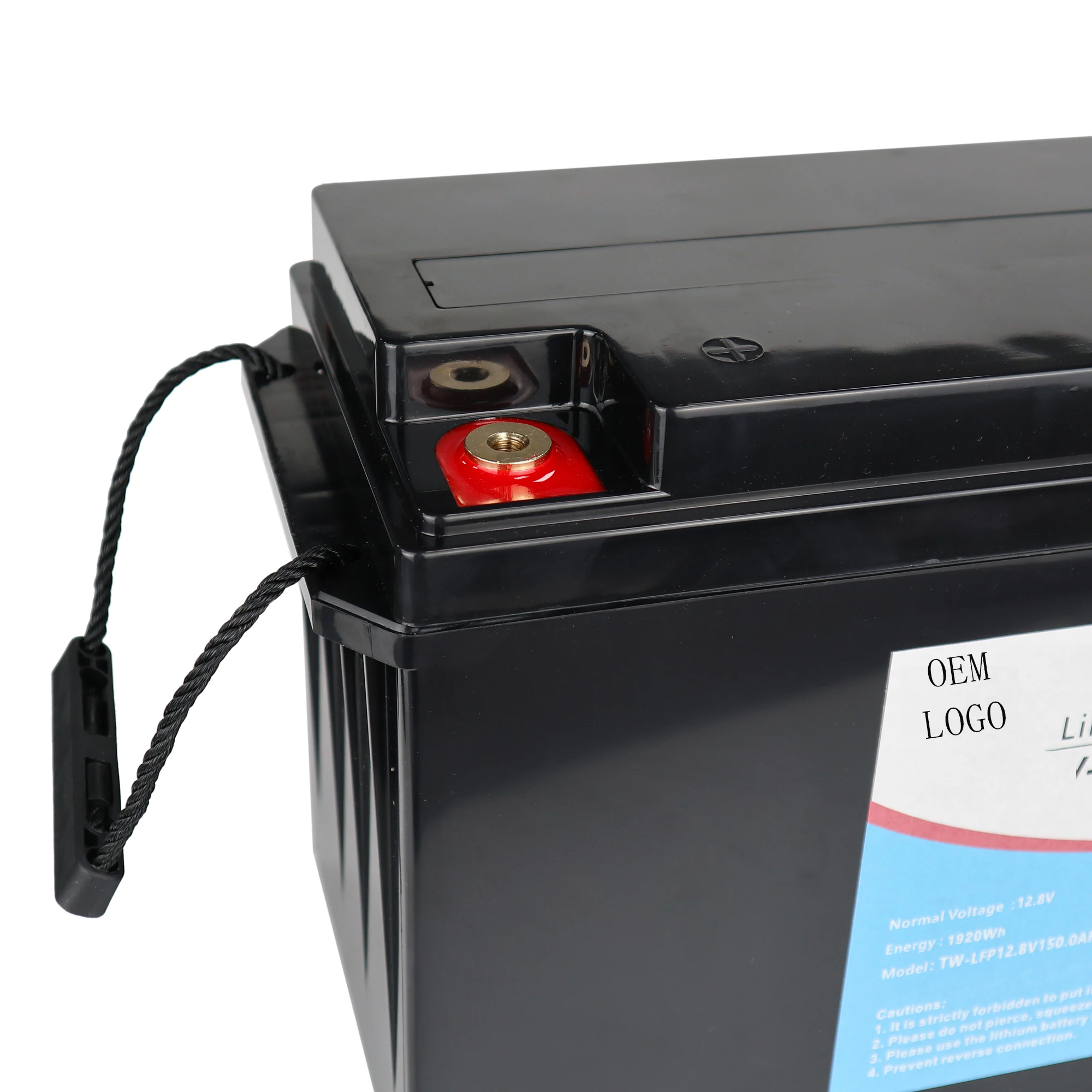 LiFePo4 Battery Pack12v 24v 48v 200ah 300ah 400ah 100ah 150ah Lifepo4 Battery Pack