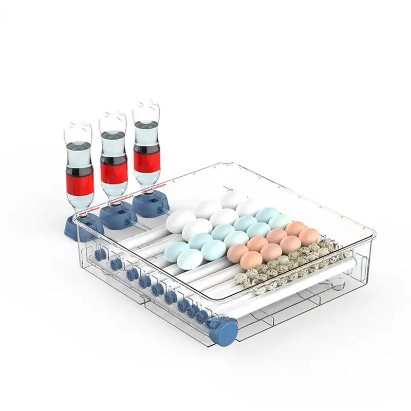 Hot sale 500 capacity egg incubator roller type small automat eggs incubator for 30 eggs for sale