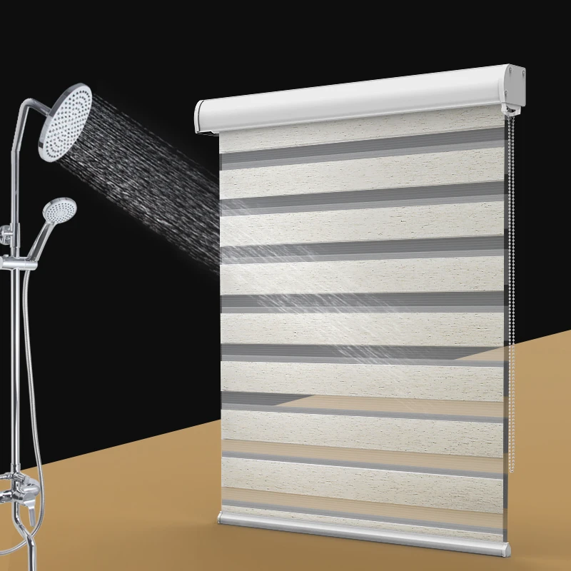 Cored Day and Night Zebra Roller Blind Double Fabric Translucent or Blackout Vision Curtains for Window  with Aluminium Cassette