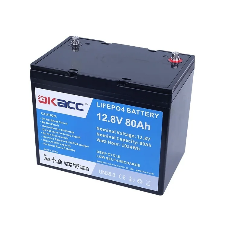 Professional Manufacturing Rechargeable Lithium Ion Car Battery 12V