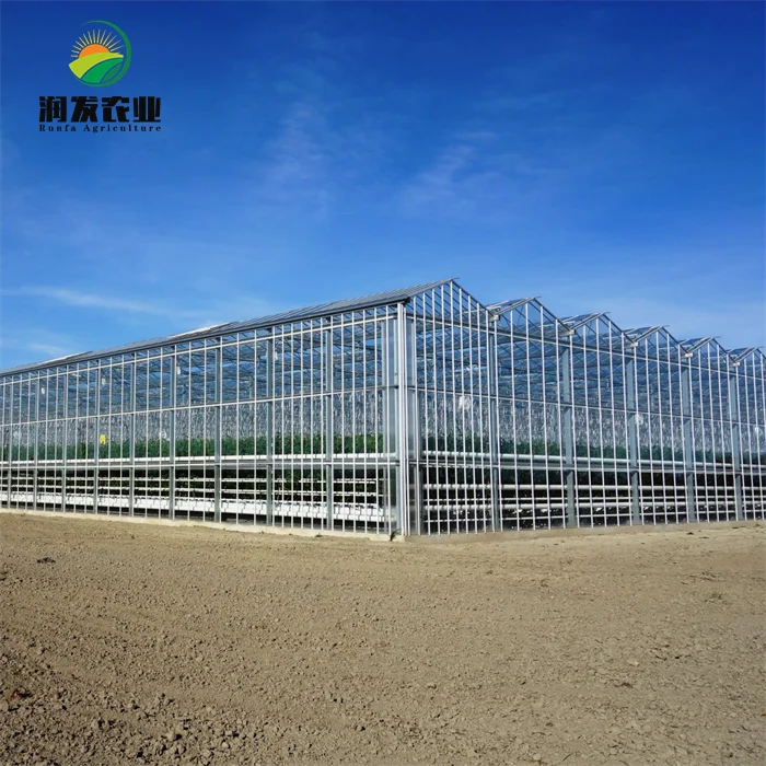 Large Multi-Span Victorian Greenhouses Commercial Venlo Glass Greenhouse With Irrigation&Hydroponics Equipment