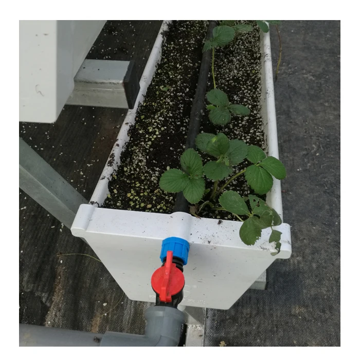 Agriculture Greenhouse Vertical Hydroponics Growing System for Strawberry