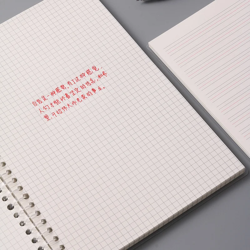 Free Sample Cheap Dotted/grid/lines/blank Transparent Pp School Hard Cover B5 A4 A5 Spiral Notebook