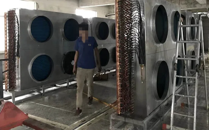 Промышленные сборные Walk-in Контейнер морской контейнер холодильник для