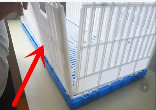 good quality pigeon plastic transport cage wholesale