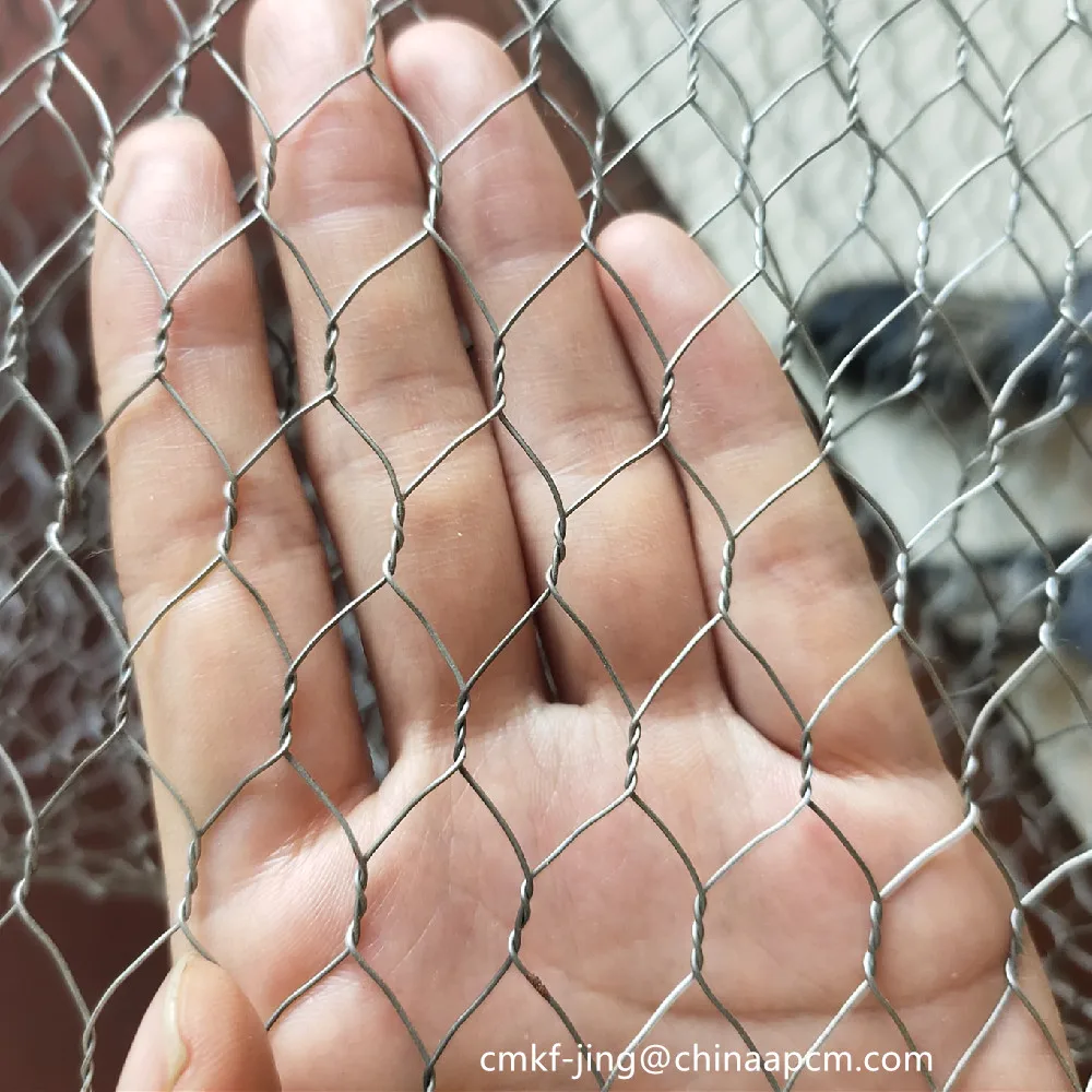 13mm Galvanized hexagonal chicken wire mesh roll for cage
