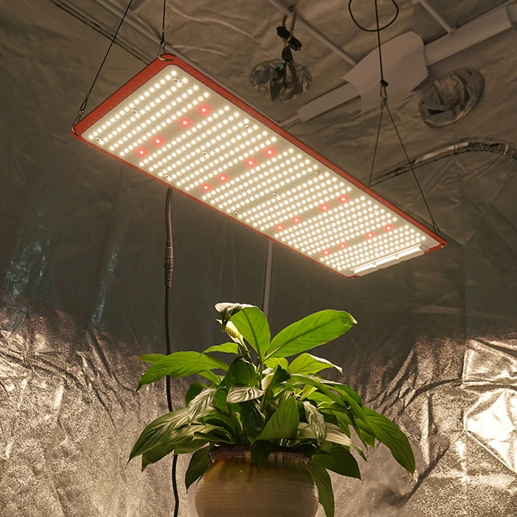
QB288 V3 lm301h with CREE XP-E2 660nm 288v3 indoor led grow lights 