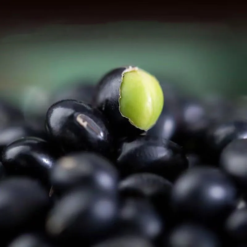 Hot Sale China Manufacture Quality Chinese Black Soya Bean