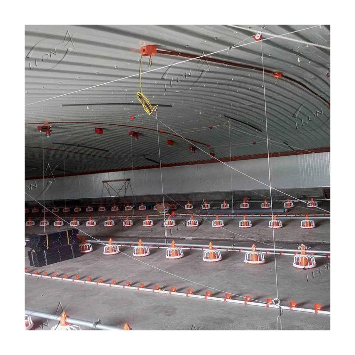 High quality automatic chicken farm system poultry equipment