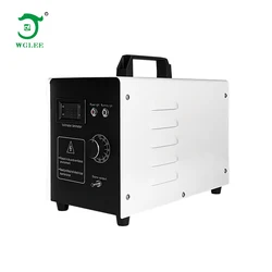 Foshan Wangeli Air Cooling 3G/H Ozone Generator Medical Therapy Machine