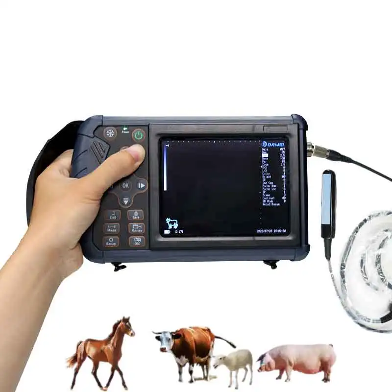 Dawei Vet Equipment Animal Ultrasound Machine Price Veterinary Ultrasound Scan Machine For Sale