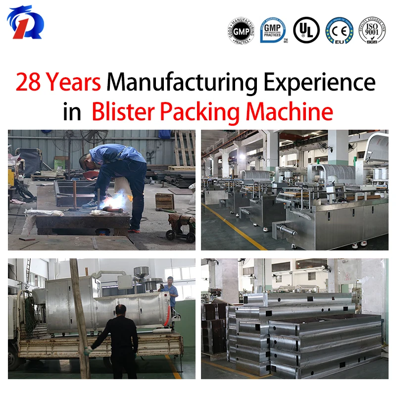  DPP-250 Automatic Thermoforming Sealing Pill Tablet Capsule Blister Packaging