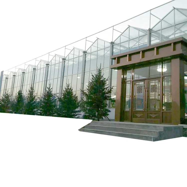 Agricultural/Commercial Green House Modern Glass Greenhouse For Vegetables Hydroponic Grow System