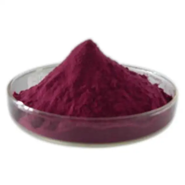 Wholesale Natural Black Elderberry (Sambucus nigra L) Fruit Extract/ Williams Elder Twig Powder