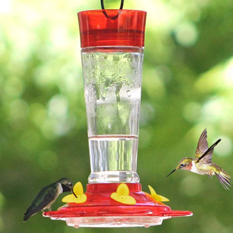 custom PP glass body pet accessories birds food and drinking feeder 12oz 350ml wild  humming birds water feeder