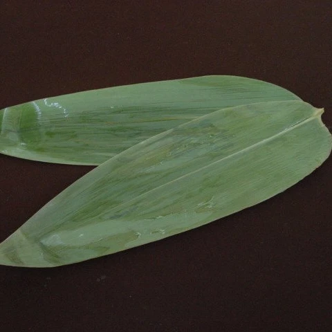 Зеленые Свежие Бамбуковые листья, вакуумные Упакованные листья для суши, бамбуковые листья для суши