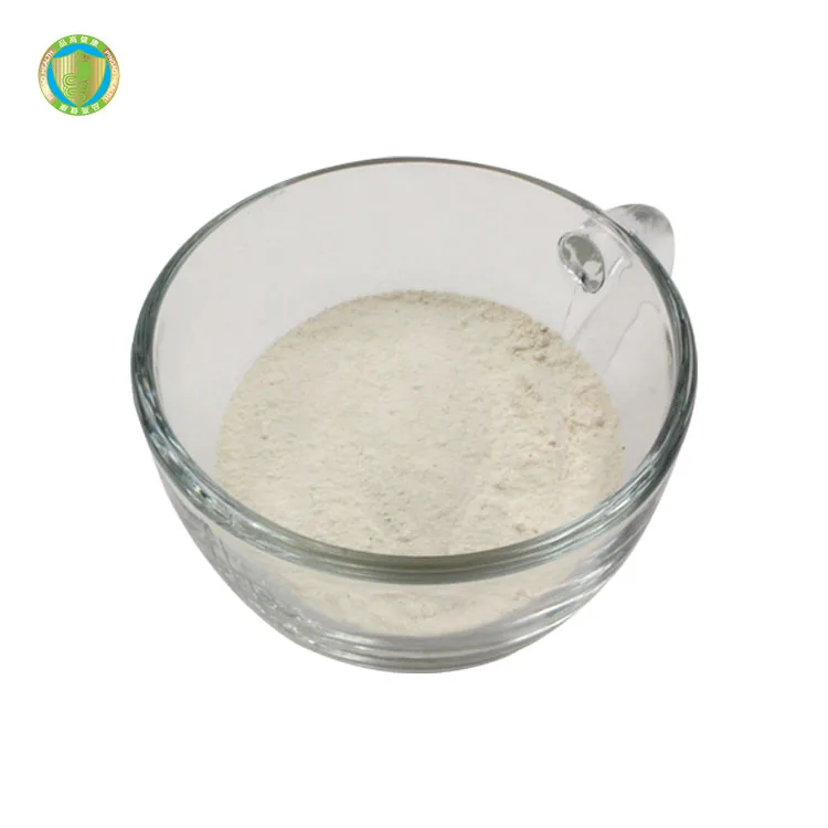 Wholesale Food grade Lactobacillus Bulgaricus 10 billion CFU/g  Bulk Probiotics  Powder