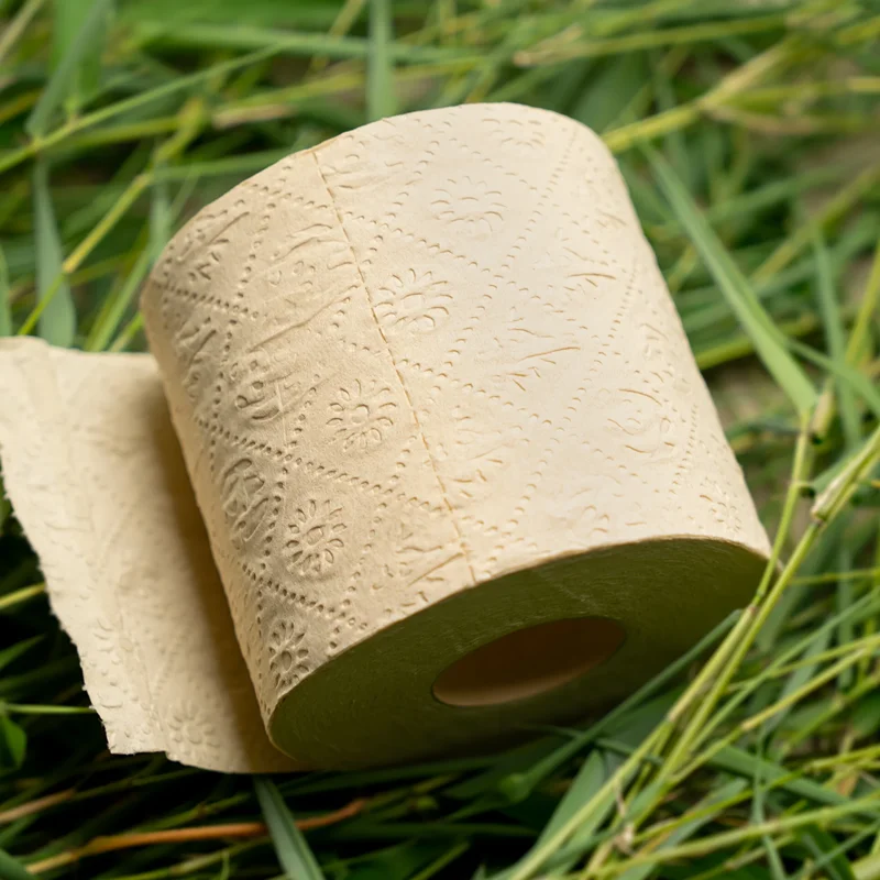 Wholesale Price Cheap Ultra Soft And ECO Friendly Toilet Paper 400 Sheets Bamboo Toilet Tissue Paper Roll