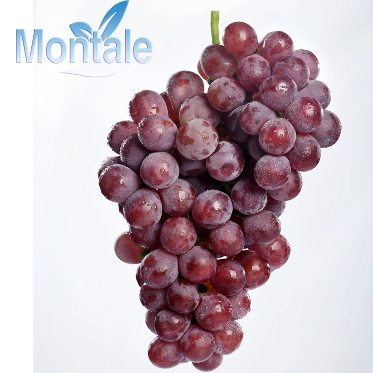 100% Natural Fresh Purple Grapes Super Sweet Grapes