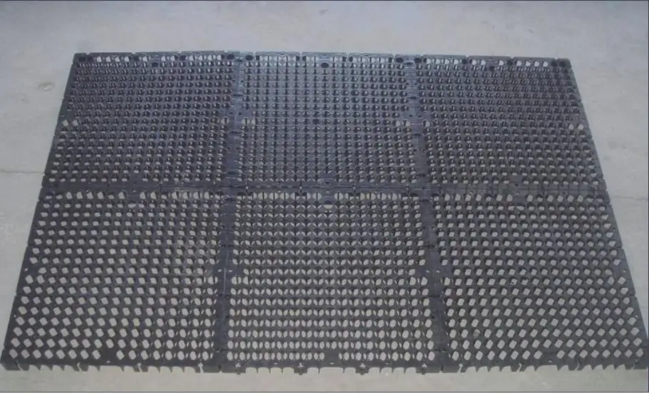 500*500*30mm Drainage Cell  Used  for Garden Park