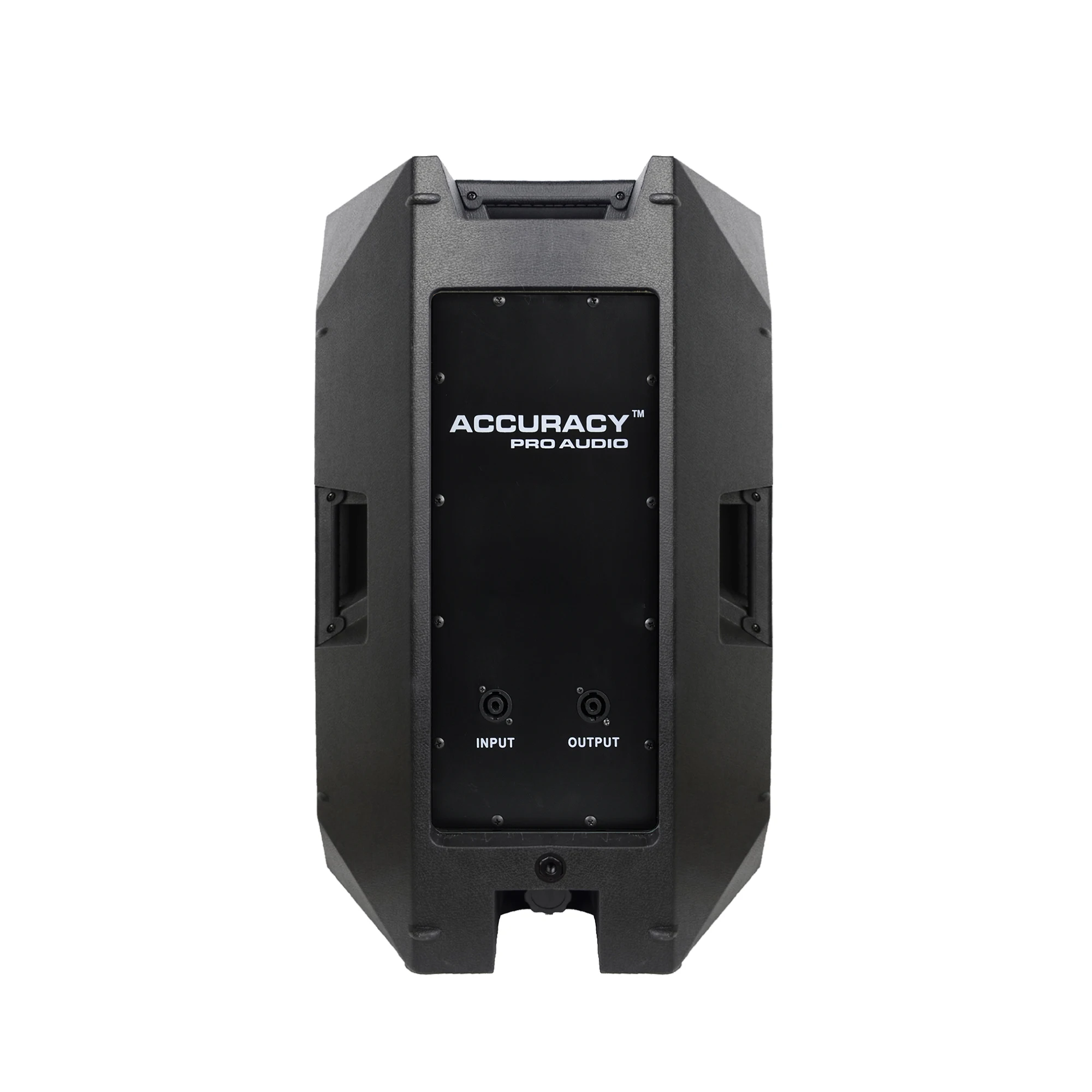 Accuracy Pro Audio CBN12 speakers 12 inch 350W Plastic dj party home soundbox Passive Speaker box