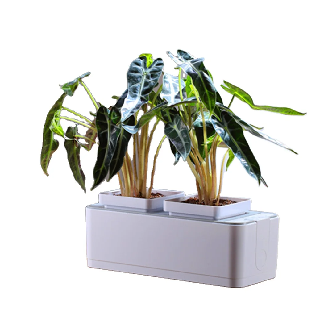 RY New products hydro plant grown smart planter pot small plant watering system