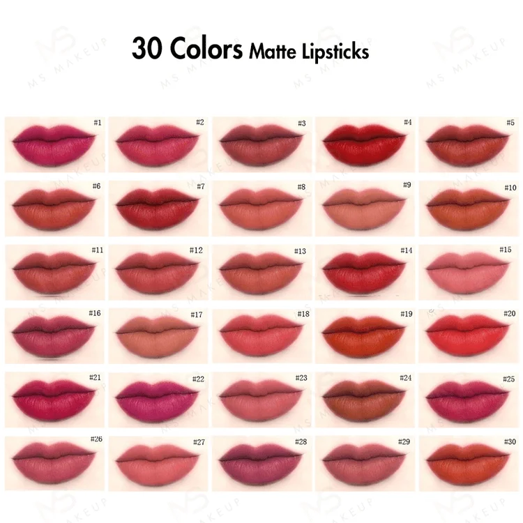 Ms Makeup Wholesales Vendors Oem Odm Low Moq 30 Colors Customized Logo Label Vegan Nude Private Label Matte Lip Sticks Lipsticks