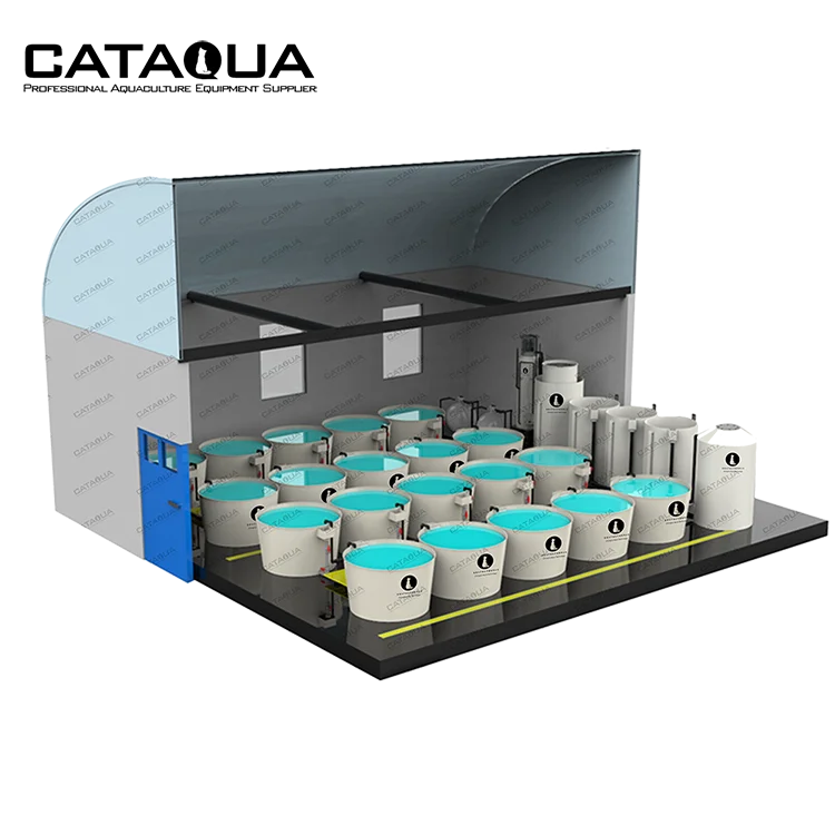 CATAQUA Integrated Modern Fish Shrimp Farm RAS System Recirculating Aquaculture