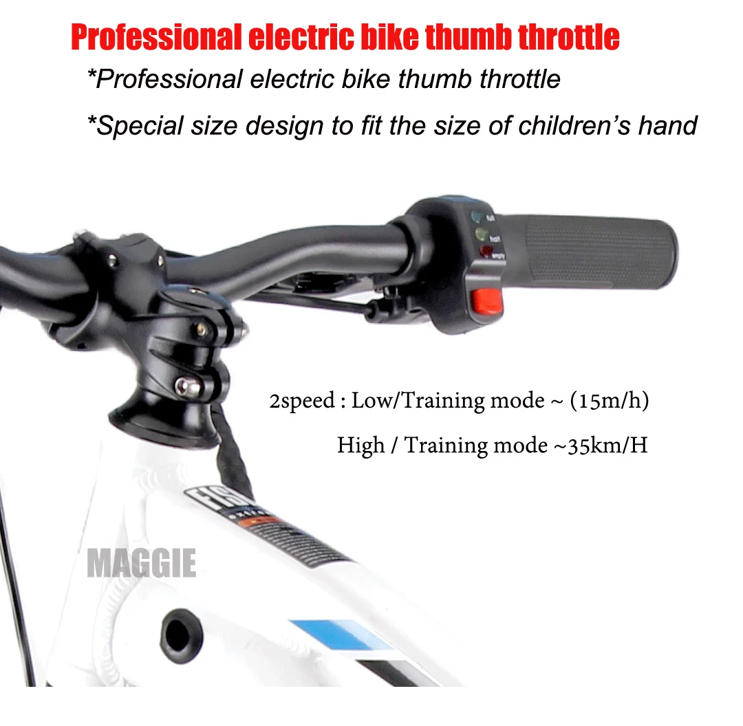 Hot Sell 20inch Lithium Battery 5.0ah 600W Electric balance bike FXB Style kids bike electric motorcycle