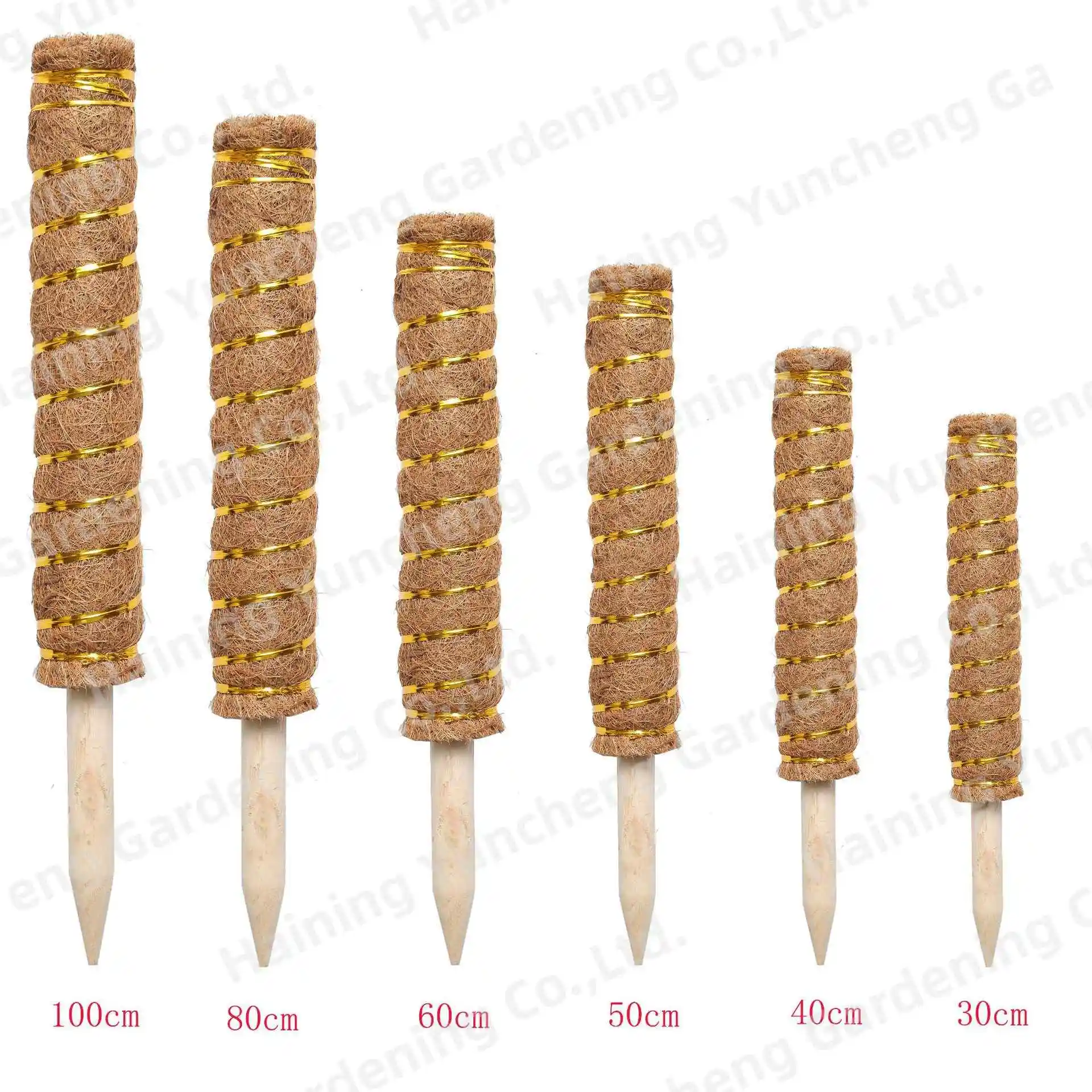 Plastic Plant Stick Palm Monstera Coir Indoor Sphagnum Demonstrate Pvc Extension Coconut Mushroom Moss Poles For Climbing Plants