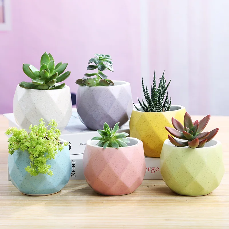 2021 hot sale flowerpot six color geometric ceramic cactus succulent plant pots horticultural macaron basin indoor decor planter