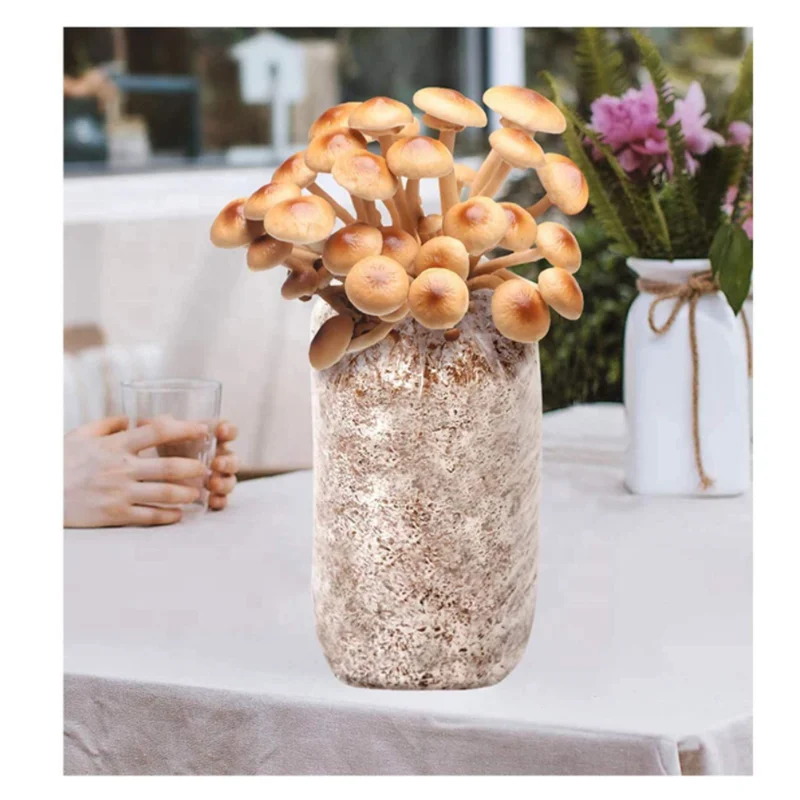 Transparent Polypropylene Mushroom Grow Bag Farm-Mushroom Substrate High Temp Garden Supplies Grow Bags